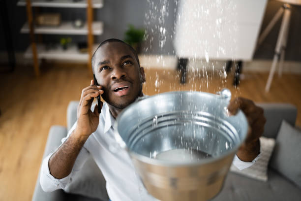  Dewitt, MI Water damage restoration Pros