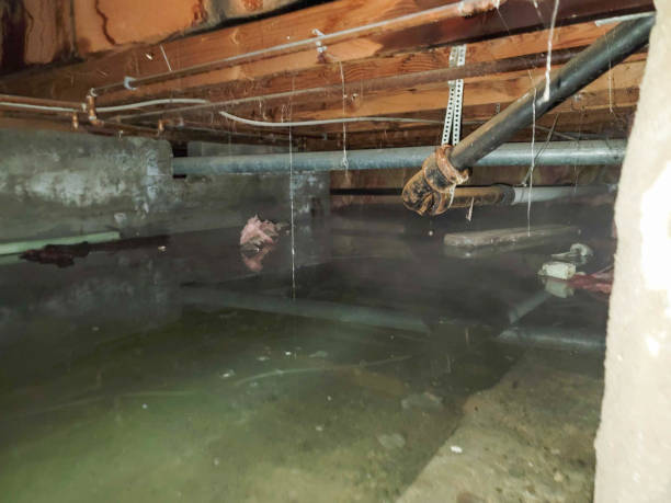 Best Ceiling water damage repair  in Dewitt, MI