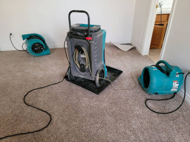 Best Sewage cleanup and water damage restoration  in Dewitt, MI