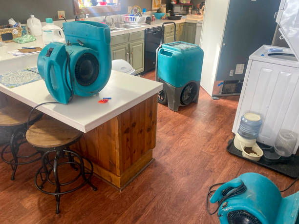 Best Emergency water damage restoration  in Dewitt, MI