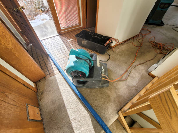 Best Residential water damage restoration  in Dewitt, MI