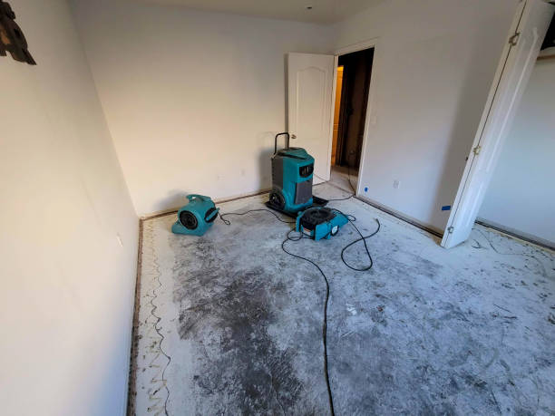 Best 24/7 water damage repair  in Dewitt, MI