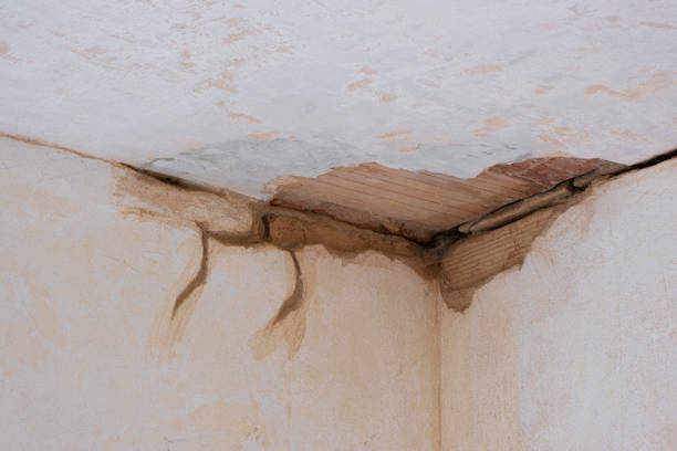 Best Water damage restoration specialists  in Dewitt, MI