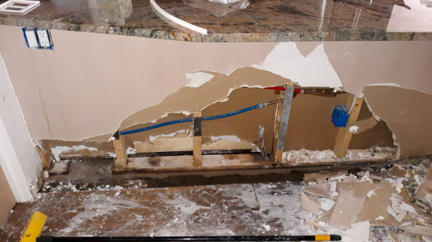 Best Water damage restoration near me  in Dewitt, MI