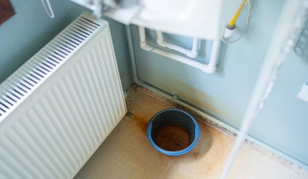 Best Water damage restoration near me  in Dewitt, MI