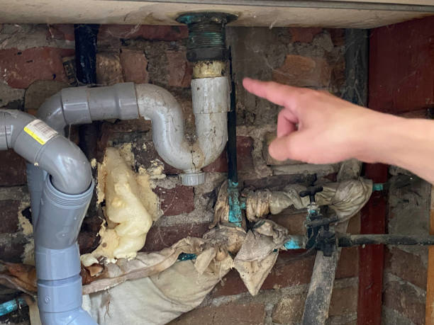 Best Water damage contractors near me  in Dewitt, MI