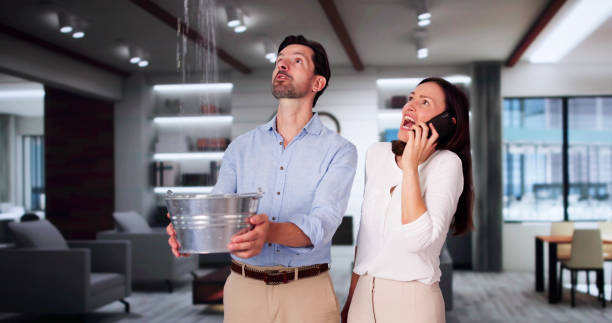 Best Emergency water damage restoration  in Dewitt, MI