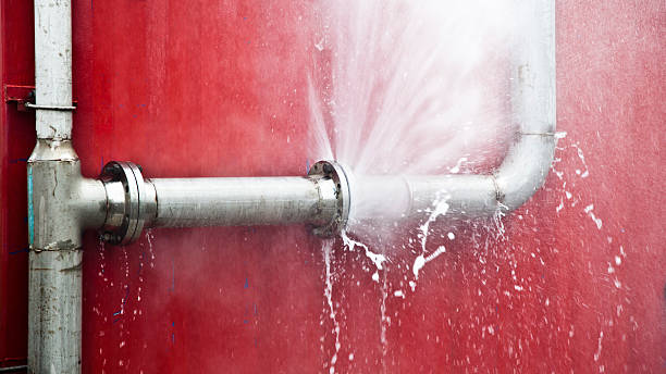  Dewitt, MI Water damage restoration Pros
